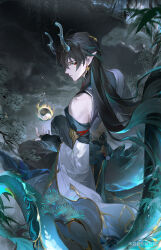 Rule 34 | 1boy, absurdres, aqua eyes, arm behind back, artist name, back, black gloves, black hair, chinese commentary, commentary request, dan heng (honkai: star rail), dan heng (imbibitor lunae) (honkai: star rail), detached sleeves, dragon, dragon boy, dragon horns, earrings, eastern dragon, eastern dragon horns, eyeliner, fingerless gloves, from behind, gloves, gold trim, grass, highres, honkai: star rail, honkai (series), horns, jewelry, leaf, long hair, makeup, miyoushe watermark, moon, night, pointy ears, profile, red eyeliner, standing, ste7619, tail, very long hair, water, wide sleeves