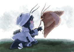 Rule 34 | 1girl, antennae, arthropod girl, beanie, black eyes, black gloves, black hair, boots, braid, bug, coat, commentary request, eye contact, flying, fur collar, giant insect, gloves, hat, insect, insect wings, kneeling, looking at another, medium hair, moth, moth wings, open mouth, reaching, reaching towards viewer, sachy (sachichy), twin braids, white background, white coat, wings
