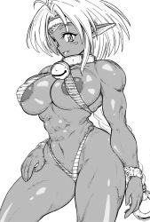 Rule 34 | 1girl, aisha clanclan, animal ears, bell, bracelet, braid, breasts, cat ears, circlet, dark-skinned female, dark skin, hair intakes, highres, hokuto (tokuho), jewelry, jingle bell, large breasts, long hair, muscular, muscular female, neck bell, outlaw star, pointy ears, single braid, slingshot swimsuit, solo, swimsuit, tail