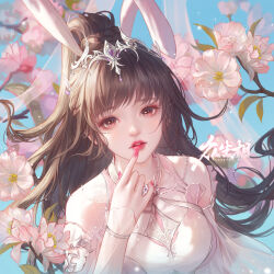 Rule 34 | 1girl, animal ears, arm up, blue background, brown hair, douluo dalu, flower, hair ornament, hand to own mouth, highres, index finger raised, long hair, looking at viewer, parted lips, pink eyes, pink flower, pink nails, rabbit ears, second-party source, solo, teeth, upper body, xiao wu (douluo dalu), yi zi zi