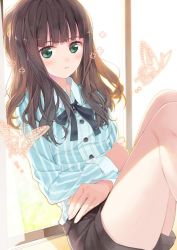 Rule 34 | amamiya chiharu, blue shirt, brown hair, bug, butterfly, buttons, collared shirt, crossed arms, ears visible through hair, green eyes, insect, long hair, long sleeves, original, shirt, short shorts, shorts, simple background, sitting, solo, striped clothes, striped shirt, vertical-striped clothes, vertical-striped shirt, window