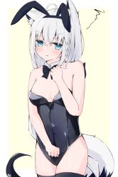 Rule 34 | 1girl, ahoge, animal ear fluff, animal ears, bare arms, black bow, black bowtie, black leotard, black thighhighs, blush, border, bow, bowtie, braid, breasts, commentary request, detached collar, earrings, fake animal ears, fox ears, fox girl, fox tail, green eyes, hair between eyes, highres, hololive, jewelry, leotard, long hair, looking at viewer, pentagram, playboy bunny, pout, rabbit ears, shirakami fubuki, sidelocks, simple background, single braid, small breasts, solo, squiggle, tail, thighhighs, user jkjt4322, virtual youtuber, white hair, yellow background