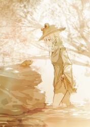 Rule 34 | 1girl, absurdres, animal, croci, frog, from side, hat, highres, long hair, long sleeves, moriya suwako, nature, outdoors, rock, sepia, skirt hold, solo, standing, touhou, tree, wading, water, wide sleeves