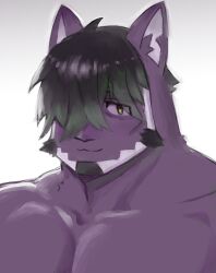 Rule 34 | 1boy, animal ears, bags under eyes, bara, beard, black hair, cat boy, cat ears, exhausted, facial hair, furry, furry male, goatee, hair over one eye, highres, kuromaih, large pectorals, live a hero, looking at viewer, male focus, muscular, muscular male, nude, official alternate hairstyle, pectorals, purple fur, short hair, solo, thick eyebrows, tsuneaki (live a hero), two-tone beard, upper body
