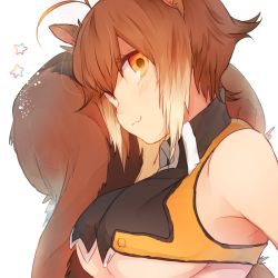Rule 34 | 1girl, :3, animal ears, antenna hair, bare shoulders, blazblue, blush, breasts, brown hair, close-up, closed mouth, crop top, from side, hair between eyes, large breasts, looking at viewer, looking to the side, makoto nanaya, multicolored hair, nose, nose blush, revealing clothes, simple background, smile, smirk, solo, squirrel ears, squirrel girl, squirrel tail, star (symbol), tail, two-tone hair, underboob, upper body, utw3, white background, yellow eyes