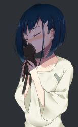 Rule 34 | 10s, 1girl, absurdres, black background, blue hair, blush, collarbone, darling in the franxx, hair ornament, hairclip, highres, holding, ichigo (darling in the franxx), light, long sleeves, nightgown, nose blush, object kiss, seseri7th, short hair, simple background, solo, stuffed animal, stuffed cat, stuffed toy, two-handed, upper body, white nightgown, wide sleeves