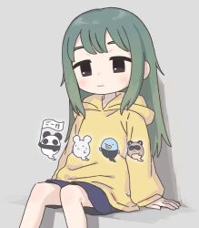 Rule 34 | 1girl, bird, blue shorts, blush, brown eyes, closed mouth, expressionless, feet out of frame, flag, ghost, ghost tail, green hair, grey background, highres, holding, holding flag, hood, hood down, hoodie, invisible chair, long hair, long sleeves, looking at viewer, mouse, nezutako, original, panda, shorts, simple background, sitting, solo, tanuki, yellow hoodie