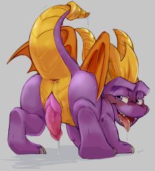 Rule 34 | animal penis, anus, aroused, claws, cloaca, cum, dandi, dragon, dragon horns, dragon tail, dragon wings, furry, horns, knot, looking at viewer, male focus, penis, presenting, saliva, scales, simple background, spyro (series), spyro the dragon, tail, tongue, tongue out, wings