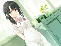 Rule 34 | 1girl, aged up, arishima alice, arms behind back, ayakashi kyoushuutan, black hair, blunt bangs, blush, book, breasts, clinic, closed mouth, collarbone, cura, curtains, day, doctor, dress, dutch angle, female focus, flower, green eyes, hair flower, hair ornament, highres, indoors, looking at viewer, medium breasts, medium hair, monobeno, official art, plant, potted plant, short sleeves, sidelocks, smile, solo, stereo, stethoscope, white dress, window, yellow flower