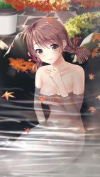 Rule 34 | 1girl, autumn, autumn leaves, braid, breasts, brown eyes, brown hair, cleavage, closed mouth, collarbone, completely nude, doukyuusei 2, doukyuusei another world, game cg, hair between eyes, hair ribbon, leaf, long hair, maple leaf, medium breasts, nagashima kumiko, nude, official art, onsen, partially submerged, red ribbon, ribbon, sitting, smile, solo, twin braids, water