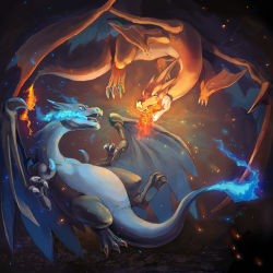 Rule 34 | blue eyes, blue fire, breath weapon, breathing fire, charizard, claws, commentary request, creatures (company), dragon, eye contact, fangs, fire, flame-tipped tail, game freak, gen 1 pokemon, looking at another, mega charizard x, mega charizard y, mega pokemon, nagakura (seven walkers), nintendo, no humans, open mouth, pokemon, pokemon (creature), red eyes, tongue