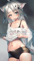 Rule 34 | 1girl, ahoge, animal ear fluff, animal ears, bikini, black bikini, blush, breasts, cat ears, cat girl, cat tail, collarbone, female focus, grey eyes, grey hair, highres, long hair, looking at viewer, mitake eil, navel, open mouth, original, shirt, signature, small breasts, solo, swimsuit, tail, uneven eyes, water drop, wet, wet clothes, wet shirt