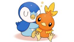 Rule 34 | black eyes, closed mouth, commentary request, creatures (company), closed eyes, game freak, gen 3 pokemon, gen 4 pokemon, head tilt, hug, looking at viewer, nintendo, no humans, official art, piplup, pokemon, pokemon (creature), project pochama, sitting, toes, torchic, white background