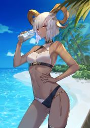 Rule 34 | 1girl, absurdres, animal ears, arknights, beach, bikini, black bikini, black collar, bottle, breasts, carnelian (arknights), chinese commentary, collar, commentary request, cowboy shot, dark-skinned female, dark skin, goat ears, goat girl, goat horns, hand on own hip, hand up, highres, holding, horns, looking at viewer, medium breasts, midriff, navel, nyaco33, outdoors, palm tree, red eyes, short hair, solo, swimsuit, thighs, tree, two-tone bikini, water bottle, white bikini, white hair