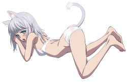 Rule 34 | 10s, 1girl, animal ears, ass, blue eyes, blush, bra, cat ears, cat tail, highres, kanase kanon, kekke, looking at viewer, open mouth, panties, short hair, silver hair, solo, strike the blood, tail, underwear, underwear only