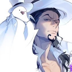 Rule 34 | 1boy, animal, animal on shoulder, bird, bird on shoulder, black hair, black ribbon, blue eyes, blue necktie, clothed animal, collared shirt, facial hair, goatee, hat, hat ribbon, hattori (one piece), highres, jacket, long hair, looking at viewer, male focus, necktie, one piece, open clothes, open jacket, open shirt, portrait, ribbon, rob lucci, shirt, simple background, top hat, white background, white bird, white hat, white jacket, white shirt, xuchuan