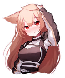 Rule 34 | 1girl, absurdres, animal ears, arknights, beudelb, black jacket, blush, breasts, brown hair, ceobe (arknights), closed mouth, commentary, cropped torso, dog ears, fang, female focus, hand on own head, highres, jacket, korean commentary, large breasts, long hair, looking at viewer, red eyes, simple background, skin fang, solo, upper body, white background