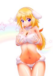 Rule 34 | 10s, 1girl, animal costume, animal ears, blonde hair, blush, breast hold, breasts, breasts squeezed together, charlotte dunois, cleavage, cookie, dog, dog ears, food, french poodle, hair ribbon, infinite stratos, large breasts, looking at viewer, navel, open mouth, ponytail, purple eyes, ribbon, simple background, smile, solo, star (symbol)