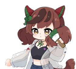 Rule 34 | 1girl, :o, animal ears, black camisole, blue pants, blush, bow, brown eyes, brown hair, camisole, chibi, commentary, ear bow, green bow, green ribbon, hand up, highres, holding, holding paintbrush, horse ears, horse girl, horse tail, jacket, long hair, long sleeves, looking at viewer, multicolored hair, navel, neck ribbon, nice nature (umamusume), nozo (hitomiz), open clothes, open jacket, paint on clothes, paint splatter, paint splatter on face, paintbrush, pants, parted lips, puffy long sleeves, puffy sleeves, ribbon, see-through, see-through sleeves, simple background, solo, streaked hair, symbol-only commentary, tail, twintails, umamusume, white background