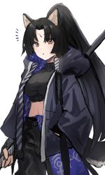 Rule 34 | 1girl, :o, adapted costume, alternate hairstyle, animal ears, arknights, black hair, black jacket, black pants, black shirt, brown eyes, close-up, commentary request, crop top, dog ears, dog girl, dog tail, facial mark, forehead mark, hand in pocket, holding, holding polearm, holding weapon, hood, hood down, hooded jacket, horn/wood, jacket, long hair, looking at viewer, midriff, naginata, open clothes, open jacket, pants, polearm, ponytail, saga (arknights), shadow, shirt, shoes, simple background, solo, surprised, tail, very long hair, weapon, white background