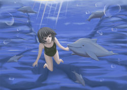 Rule 34 | 1girl, breasts, bubble, cleavage, dolphin, freediving, one-piece swimsuit, original, purple eyes, short hair, small breasts, solo, sutein, swimsuit, underwater, water
