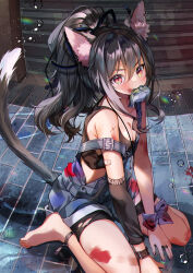 Rule 34 | 07touka25, 1girl, animal ears, arm warmers, bandaid, bandaid on arm, black hair, black shorts, black tank top, blue shorts, breasts, cat ears, cat girl, cat tail, crop top, cross scar, fish, fish in mouth, highres, jewelry, long hair, looking at viewer, medium breasts, mouth hold, necklace, original, paint on clothes, ponytail, ring, scar, scar on arm, shorts, single arm warmer, strap slip, suspender shorts, suspenders, tail, tank top, wristband