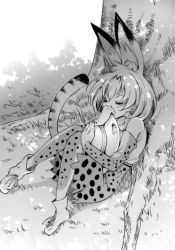 Rule 34 | 10s, 1girl, animal ears, animal print, bare shoulders, boots, borrowed clothes, closed eyes, elbow gloves, full body, gloves, greyscale, hat, holding, holding clothes, holding hat, kemono friends, knees together feet apart, monochrome, sakayama shinta, serval (kemono friends), serval print, serval tail, shirt, short hair, sitting, skirt, sleeveless, sleeveless shirt, solo, tail, thighhighs, tree, unworn hat, unworn headwear