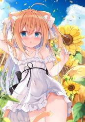 Rule 34 | 1girl, ahoge, animal ear fluff, animal ears, arm behind head, arm up, bare shoulders, blonde hair, blue eyes, blue nails, blush, bow, brown hat, cat ears, cat girl, cat tail, collarbone, commentary request, covered navel, day, dress, flower, frilled dress, frills, groin, hair between eyes, hair bow, hand up, hat, kujou danbo, long hair, looking at viewer, moneko-chan, nail polish, no panties, off-shoulder dress, off shoulder, original, outdoors, parted lips, solo, sunflower, tail, two side up, unworn hat, unworn headwear, very long hair, white bow, white dress, yellow flower