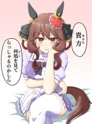 Rule 34 | 1girl, animal ears, azusa (azusa0325), blush, breasts, commentary request, gentildonna (umamusume), hair between eyes, hair ornament, hair rings, hand on own cheek, hand on own face, highres, horse ears, horse girl, looking at viewer, medium breasts, red eyes, school uniform, simple background, sitting, thighhighs, thighs, tracen school uniform, umamusume