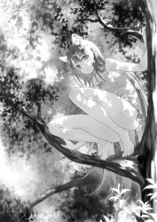 Rule 34 | 1girl, animal ears, bare legs, barefoot, closed mouth, commentary request, dappled sunlight, dress, from below, full body, greyscale, in tree, long hair, looking at viewer, moekon, monochrome, original, outdoors, sitting, sitting in tree, sleeveless, solo, squatting, straight hair, sunlight, tail, thighs, tree, very long hair, wolf ears, wolf girl, wolf tail