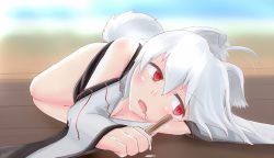 Rule 34 | 1girl, animal ears, bad id, bad pixiv id, bare shoulders, blush, breasts, cleavage, detached sleeves, fang, inubashiri momiji, looking away, lying, marusan, open mouth, red eyes, short hair, silver hair, solo, tail, touhou, wolf ears, wolf tail