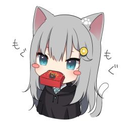 Rule 34 | 1girl, amashiro natsuki, animal ears, black hoodie, blue eyes, blush stickers, cat ears, cat girl, cat tail, collared shirt, commentary request, cropped torso, drawstring, eyebrows hidden by hair, fangs, grey hair, hair ornament, hood, hood down, hoodie, long hair, mouth hold, nachoneko, original, pocky day, shirt, simple background, solo, tail, white background, white shirt