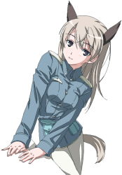 Rule 34 | 00s, 1girl, animal ears, breasts, eila ilmatar juutilainen, long hair, md5 mismatch, medium breasts, oekaki, pantyhose, resolution mismatch, simple background, solo, source smaller, strike witches, tail, uniform, wankoro mochi, white background, white pantyhose, world witches series