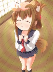 Rule 34 | 10s, 1boy, 1girl, admiral (kancolle), animal ears, aura, black legwear, blush, brown hair, commentary request, closed eyes, fang, folded ponytail, hair ornament, hairclip, hand on another&#039;s head, head pat, highres, inazuma (kancolle), indoors, kantai collection, kemonomimi mode, long hair, long sleeves, maromi gou, open mouth, out of frame, headpat, pleated skirt, school uniform, serafuku, skirt, socks, sparkle, standing, tail, uniform, wooden floor