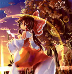 Rule 34 | 1girl, bad id, bad pixiv id, bow, brown hair, detached sleeves, female focus, gohei, hair bow, hakurei reimu, hikariz, japanese clothes, lens flare, miko, nature, outdoors, plant, ponytail, skirt, sky, solo, sunset, touhou