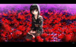 Rule 34 | 1girl, black hair, black thighhighs, enma ai, field, flower, flower field, highres, hk (hk), japanese clothes, jigoku shoujo, kimono, letterboxed, long hair, red eyes, red flower, seiza, sitting, smile, solo, spider lily, thighhighs