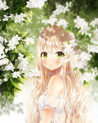 Rule 34 | 1girl, bad id, bad pixiv id, bare shoulders, blonde hair, blurry, blurry background, blush, commentary, day, depth of field, detached sleeves, dew drop, dress, english commentary, flower, frilled sleeves, frills, from side, green eyes, highres, leaf, long hair, looking at viewer, looking to the side, original, outdoors, parted lips, plant, short sleeves, sparkle, sweat, upper body, water drop, wavy hair, weri, white dress, white flower
