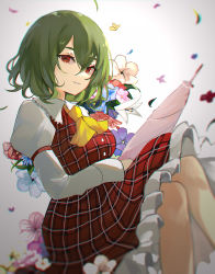 Rule 34 | 1girl, absurdres, ascot, blue flower, breasts, buttons, closed mouth, collared shirt, dress, flower, frills, gradient background, green hair, grey background, grey flower, grey shirt, hair between eyes, highres, juliet sleeves, kani nyan, kazami yuuka, leaf, lily (flower), long sleeves, looking at viewer, medium breasts, pink flower, plaid, plaid dress, puffy sleeves, purple flower, red dress, red eyes, red flower, shirt, short hair, sitting, smile, solo, teeth, touhou, umbrella, white background, white flower, yellow ascot, yellow flower