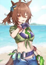 Rule 34 | 1girl, 1other, ;d, agnes tachyon (lunatic lab) (umamusume), agnes tachyon (umamusume), ahoge, animal ears, bikini, black bikini, black gloves, breasts, brown hair, criss-cross halter, gloves, green jacket, hair between eyes, halterneck, highres, horse ears, horse girl, horse tail, jacket, kaho (ramb), kii-kun (agnes tachyon) (umamusume), looking at viewer, low ponytail, medium breasts, official alternate costume, official alternate hairstyle, one eye closed, open clothes, open mouth, open shorts, seaweed, short hair, shorts, single glove, smile, swimsuit, tail, tied jacket, umamusume