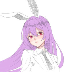 Rule 34 | 0002koko, 1girl, animal ears, blush, close-up, closed mouth, collared shirt, commentary request, double-parted bangs, eyelashes, hair between eyes, highres, light smile, lips, long hair, looking at viewer, nose, purple hair, rabbit ears, rabbit girl, red eyes, reisen udongein inaba, shirt, simple background, sketch, solo, tareme, touhou, white background, white shirt