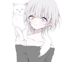Rule 34 | 1girl, :&lt;, animal, animal on shoulder, bare shoulders, blue eyes, cat, cat on shoulder, check copyright, collarbone, copyright request, grey hair, heterochromia, highres, looking to the side, off-shoulder shirt, off shoulder, original, red eyes, shirt, short hair, simple background, solo, upper body, white background, white cat, yuyuyuyhz