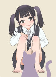 Rule 34 | 1girl, 1other, barefoot, black hair, black skirt, black sweater vest, brown eyes, cat, clothes lift, convenient censoring, feet, hanamizawa q-tarou, highres, lifted by self, long hair, long sleeves, looking at viewer, necktie, open mouth, original, pink necktie, pleated skirt, shirt, simple background, skirt, skirt lift, smile, squatting, sweater vest, toes, twintails, white shirt, white sleeves