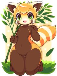 Rule 34 | 1girl, :3, :d, animal nose, blush, body fur, branch, breasts, brown fur, commentary request, fang, furry, furry female, grass, green eyes, holding, holding branch, leaf, lowres, medium breasts, no nipples, open mouth, orange fur, orange hair, original, partial commentary, red panda, red panda ears, red panda girl, red panda tail, simple background, smile, solo, takiune, whiskers, white fur, wide hips