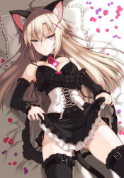 Rule 34 | 1girl, ahoge, animal ears, arm strap, bed, black bra, black dress, black panties, black thighhighs, blonde hair, blue eyes, bow, bow bra, bra, breasts, cat ears, cat tail, cleavage, collar, collarbone, detached collar, detached sleeves, dress, frilled dress, frilled sleeves, frilled thighhighs, frills, hair between eyes, hair ornament, long hair, looking at viewer, lying, md5 mismatch, medium breasts, necktie, ohta yuichi, on back, on bed, original, panties, petals, pillow, red necktie, resolution mismatch, short necktie, side-tie panties, solo, source larger, tail, thigh strap, thighhighs, underwear, x hair ornament