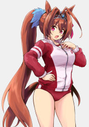 Rule 34 | 1girl, animal ears, blush, breasts, brown hair, buruma, cowboy shot, daiwa scarlet (umamusume), grey background, gym uniform, hair between eyes, hair intakes, hair ornament, hand on own hip, hand on own chest, highres, horse ears, horse girl, horse tail, jacket, large breasts, long hair, long sleeves, looking at viewer, multicolored clothes, multicolored jacket, n36hoko, open mouth, purple eyes, red buruma, simple background, solo, tail, thighs, tiara, twintails, two-tone jacket, umamusume