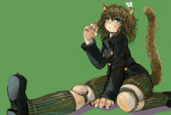 Rule 34 | 1other, androgynous, animal ears, between legs, black footwear, black jacket, blonde hair, bug, butterfly, cat ears, cat tail, closed mouth, commentary request, doll joints, ebimomo, fingernails, green background, green socks, hand between legs, hunter x hunter, insect, jacket, joints, ladybug, neferpitou, other focus, shoes, shorts, simple background, socks, solo, tail