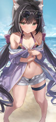 Rule 34 | 1girl, animal ear fluff, animal ears, bare legs, bare shoulders, beach, bikini, bikini under clothes, black hair, blue sky, blush, collarbone, covering privates, day, eyewear on head, frilled bikini, frills, green eyes, halterneck, highres, holding, karyl (princess connect!), karyl (summer) (princess connect!), long hair, looking at viewer, multicolored hair, navel, ocean, off shoulder, open clothes, open fly, open shirt, outdoors, ponpon nun, princess connect!, purple shirt, round eyewear, shirt, short shorts, shorts, sky, solo, standing, stomach, streaked hair, swimsuit, thigh strap, twintails, v-shaped eyebrows, very long hair