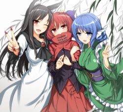 Rule 34 | 3girls, animal ears, blue eyes, blue hair, blush, bow, breasts, brooch, cape, dress, fang, fingernails, fins, hair bow, head fins, imaizumi kagerou, japanese clothes, jewelry, kimono, large breasts, long hair, long sleeves, looking at viewer, medium breasts, mermaid, miyakouji, monster girl, multiple girls, obi, one eye closed, open mouth, red eyes, red hair, sash, sekibanki, short hair, skirt, smile, touhou, v, wakasagihime, wide sleeves, wink, wolf ears