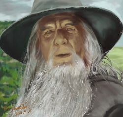 Rule 34 | 1boy, beard, close-up, facial hair, flameshot, gandalf, grey eyes, hat, highres, ian mckellen, long hair, male focus, middle earth, old, old man, portrait, realistic, solo, the lord of the rings, tolkien&#039;s legendarium, tolkien's legendarium, upper body, white hair, wizard, wizard hat