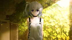 Rule 34 | 1girl, ai (re:lief), arms behind back, black choker, blurry, blurry background, blush, breasts, choker, cleavage, closed mouth, collarbone, game cg, hair between eyes, hair ornament, kurono mitsuki, long hair, looking at viewer, outdoors, purple eyes, re:lief ~shin&#039;ai naru anata e~, shirt, side ponytail, silver hair, sleeveless, sleeveless shirt, small breasts, smile, solo, standing, sunlight, upper body, white shirt